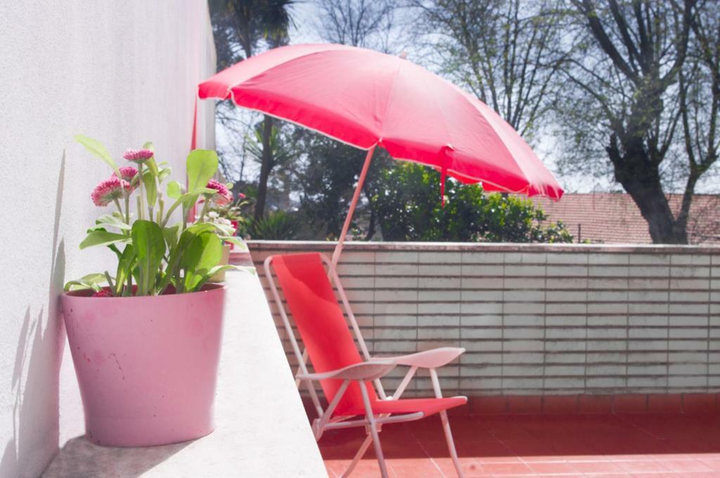 Apartmán Terrace Porto Downtown Exteriér fotografie